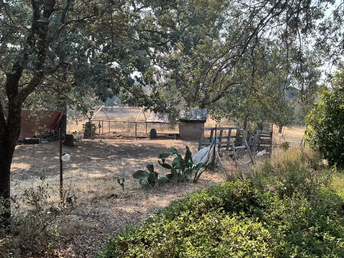 Jardí de Finca rústica en venda en Villasbuenas de Gata amb Aire condicionat, Traster i Piscina
