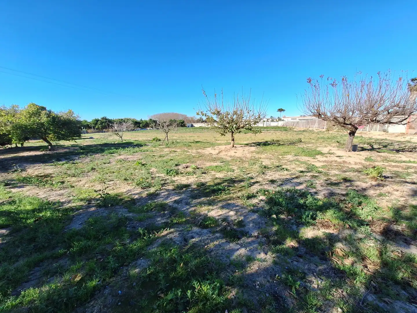 Rural land for sale in Sueca ciudad, imagen 2