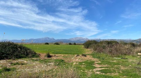 finca rustica en venta, immagine 4