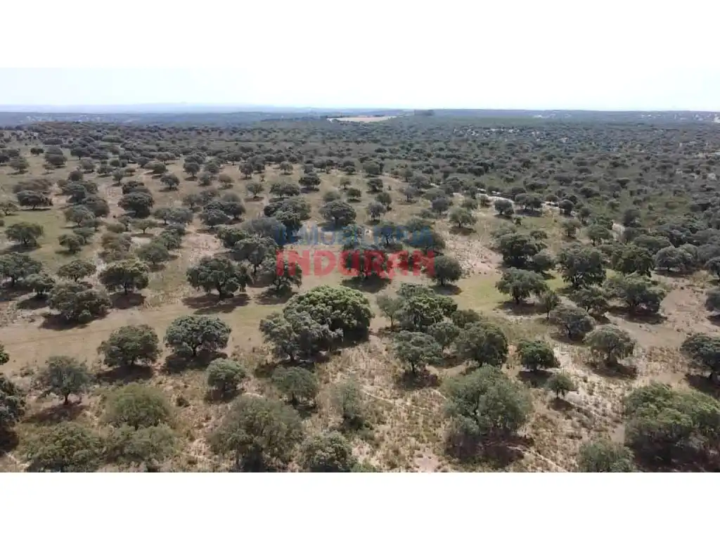 Finca rústica en venda en Talaván