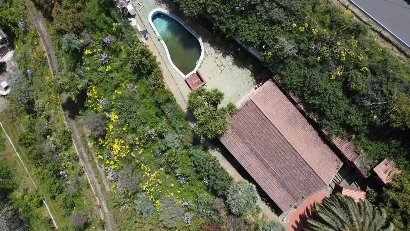 Swimming pool of Houses for sale in Vega de San Mateo