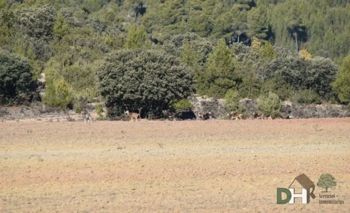 Terreni e lotti in vendita a San Fernando - Carretera de Valencia, imagen 5