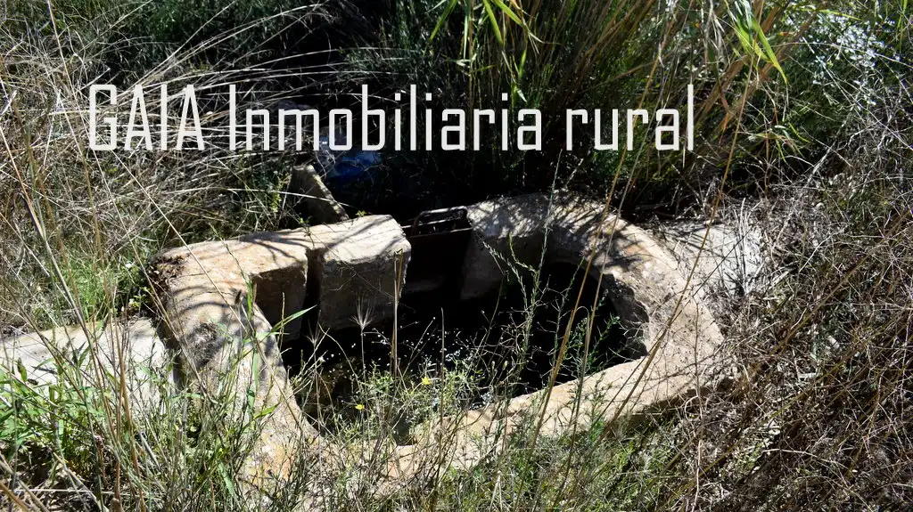 Terreni e lotti in vendita a Maella, imagen 6