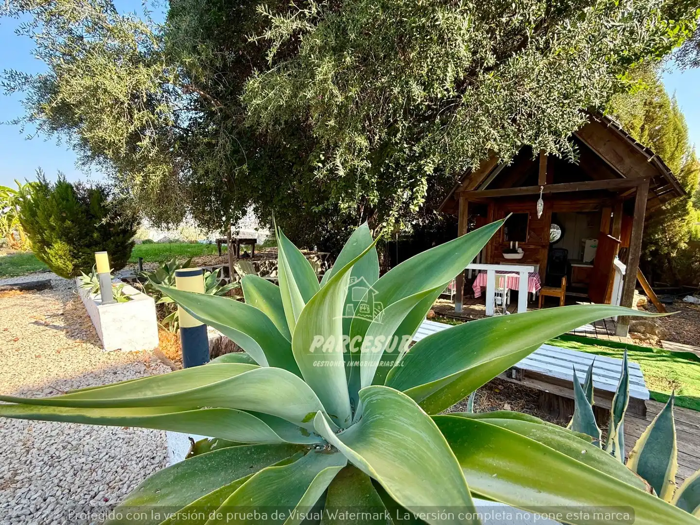 Casa amb piscina en venda a Almodóvar del Río, imagen 41