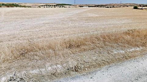 Photo 4 of Land for sale in Los Robles, Seseña