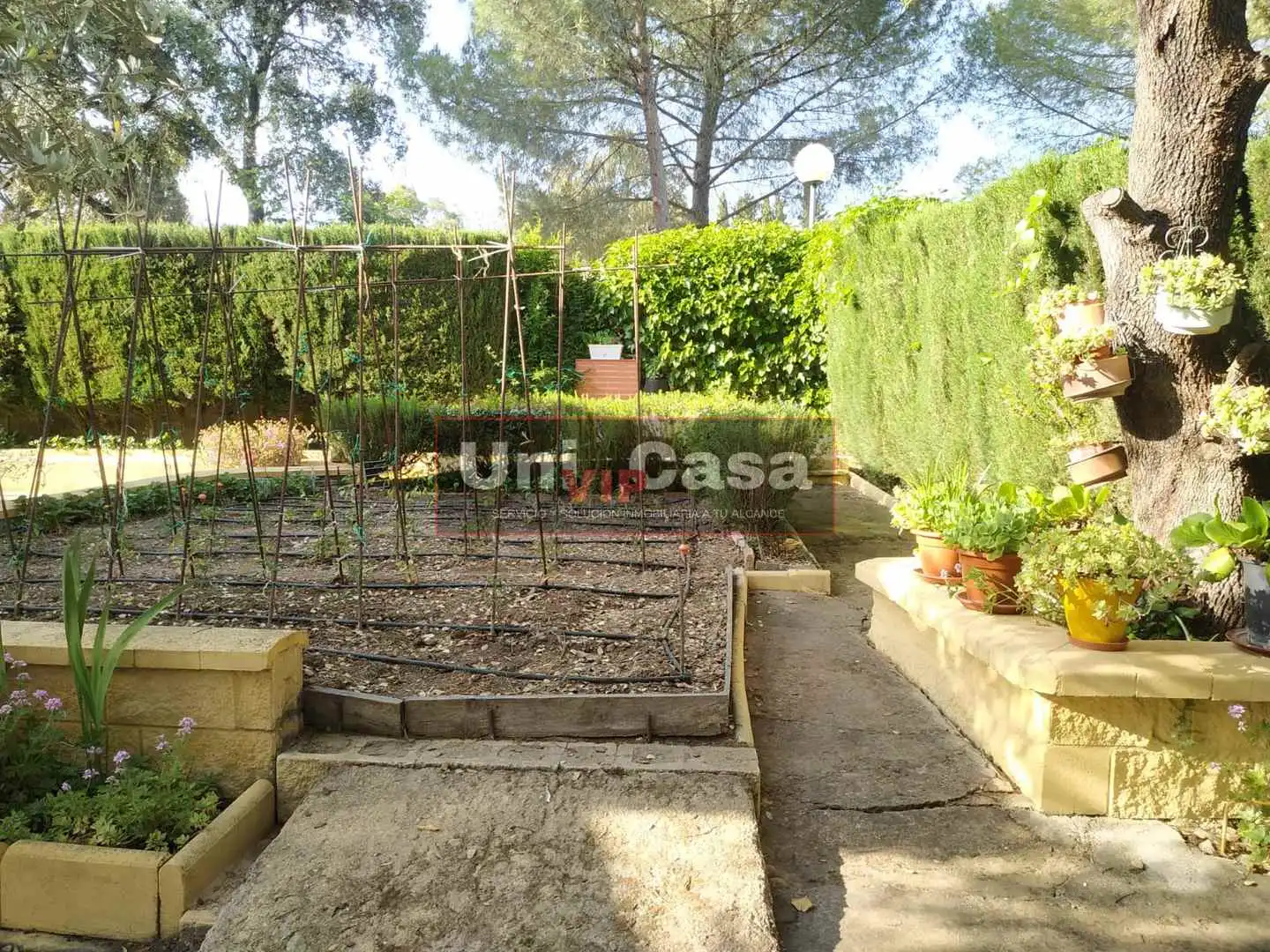 Garden of Country homes for sale in Villaharta  with Air Conditioner, Private garden and Swimming Pool