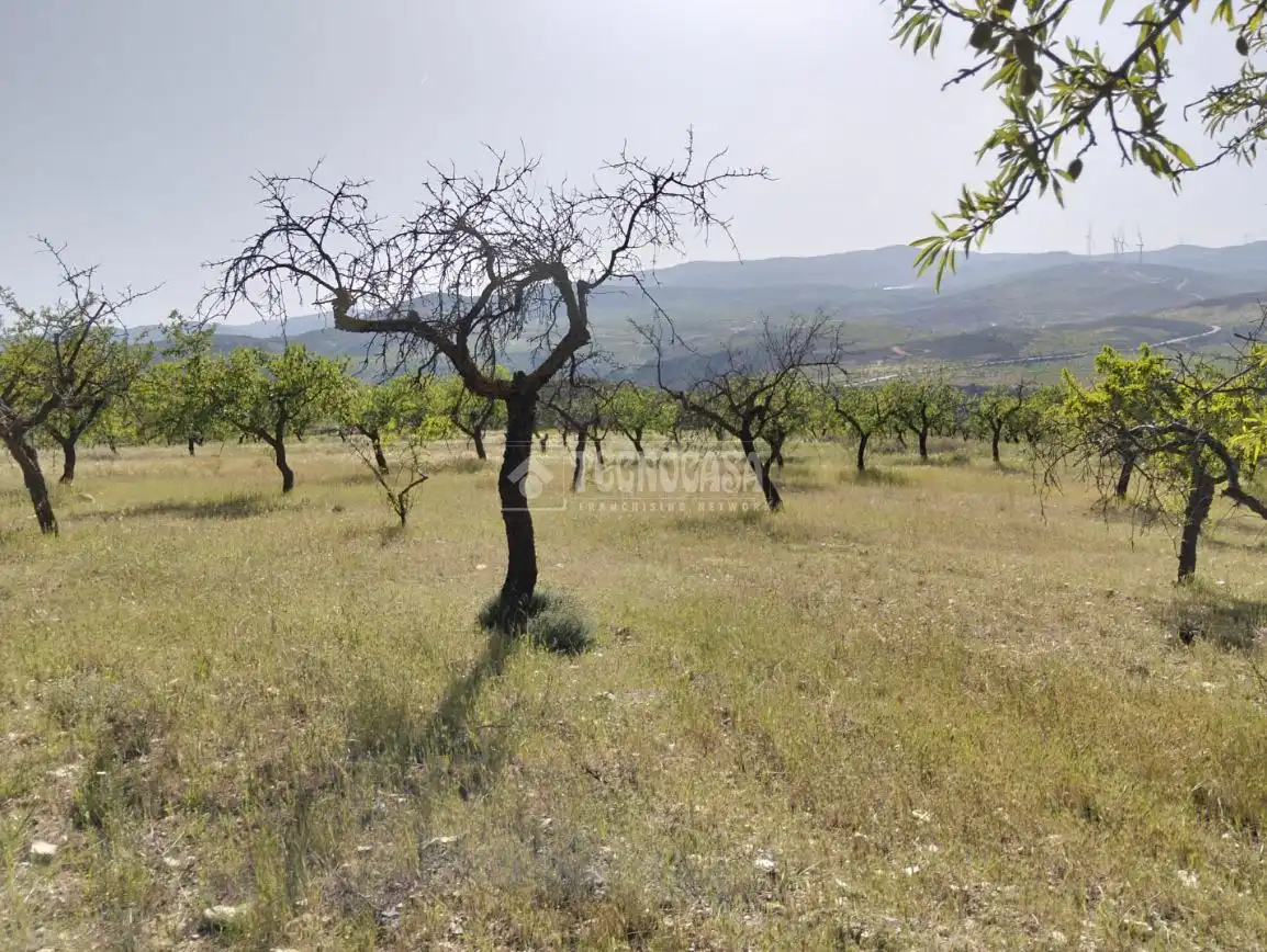 Rural land for sale in Dúrcal, imagen 23