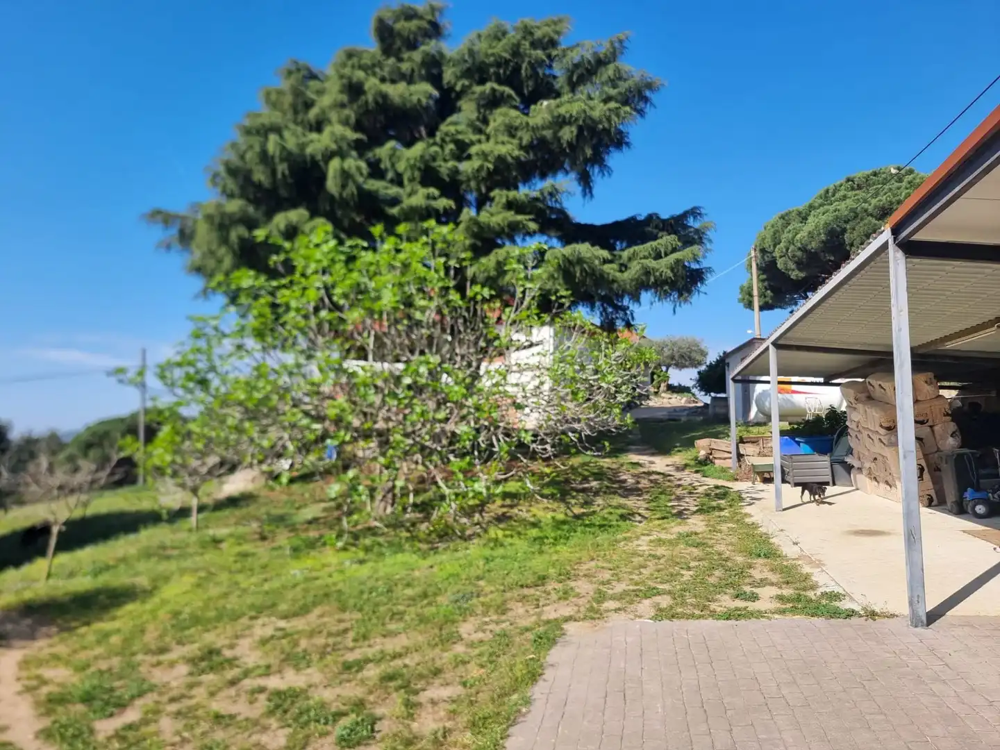 Casa o xalet en venda a Argentona Est
