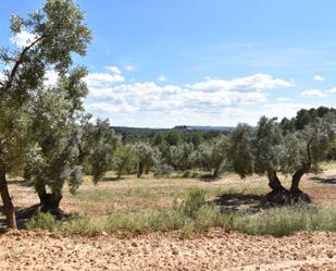 Country house for sale in Torre del Compte