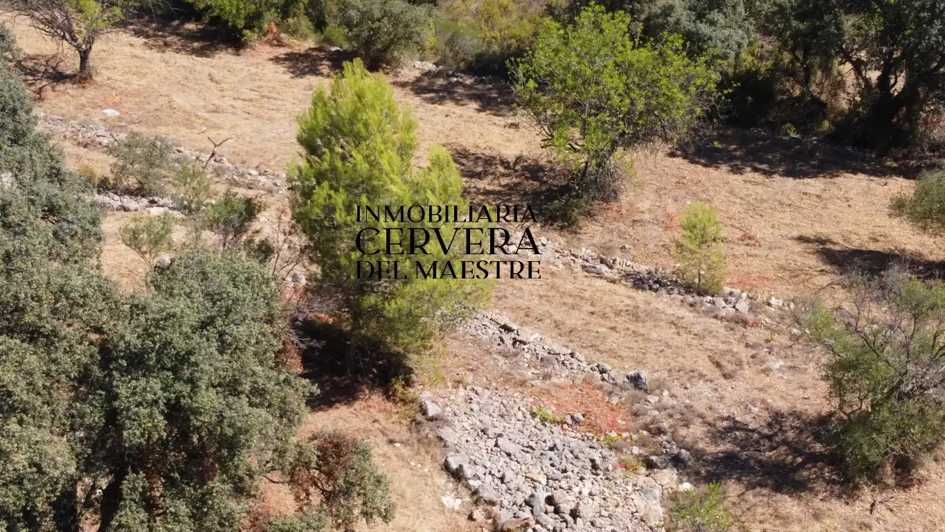 Terreno rustico in vendita a Cervera del Maestre, imagen 10