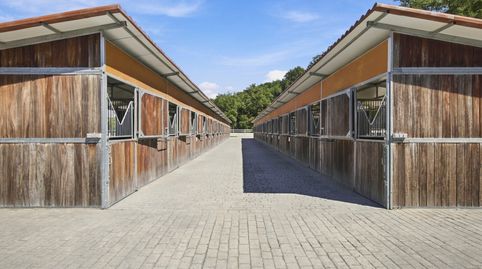 Finca ecuestre de uso profesional con vivienda en Vallgorguina, imagen 5