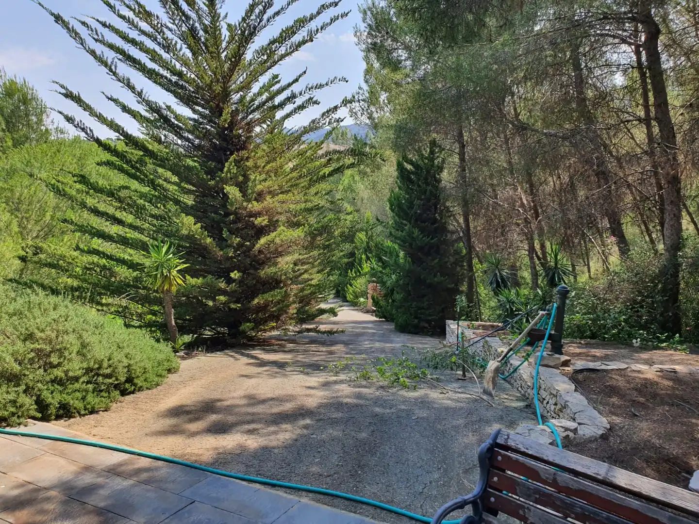 Vista exterior de Casa o chalet en venta en Murcia con Trastero y Piscina