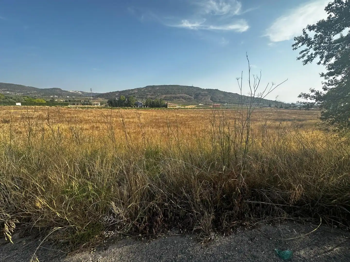 Residential land for sale in El Pinós / Pinoso, imagen 18