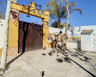 Vista exterior de Finca rústica en venda en Cuevas de San Marcos amb Aire condicionat, Calefacció i Jardí privat