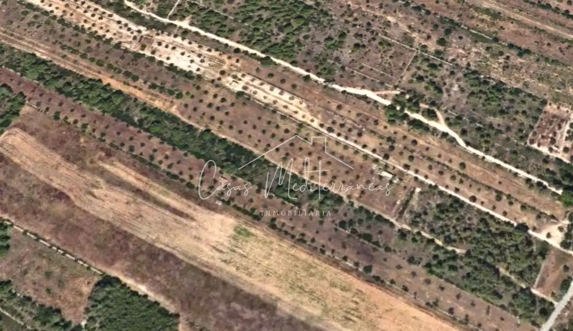 Rural land for sale in Tivissa, imagen 7