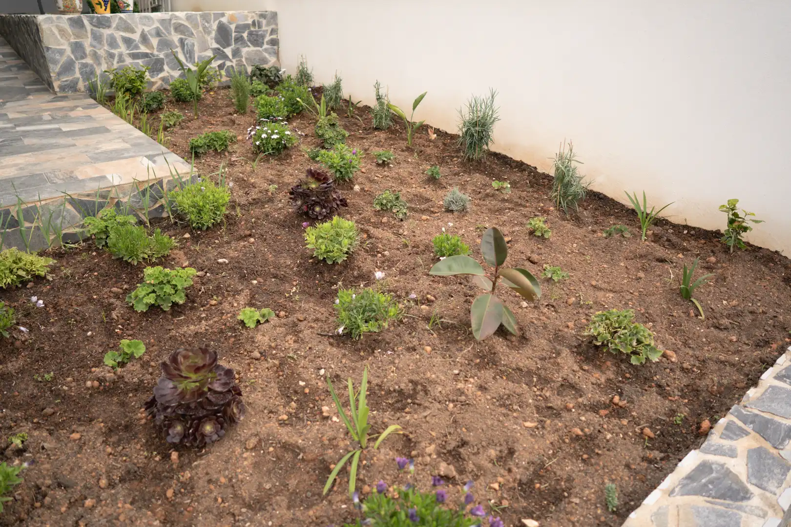 Jardí de Casa o xalet en venda en Oropesa del Mar / Orpesa amb Aire condicionat, Calefacció i Jardí privat
