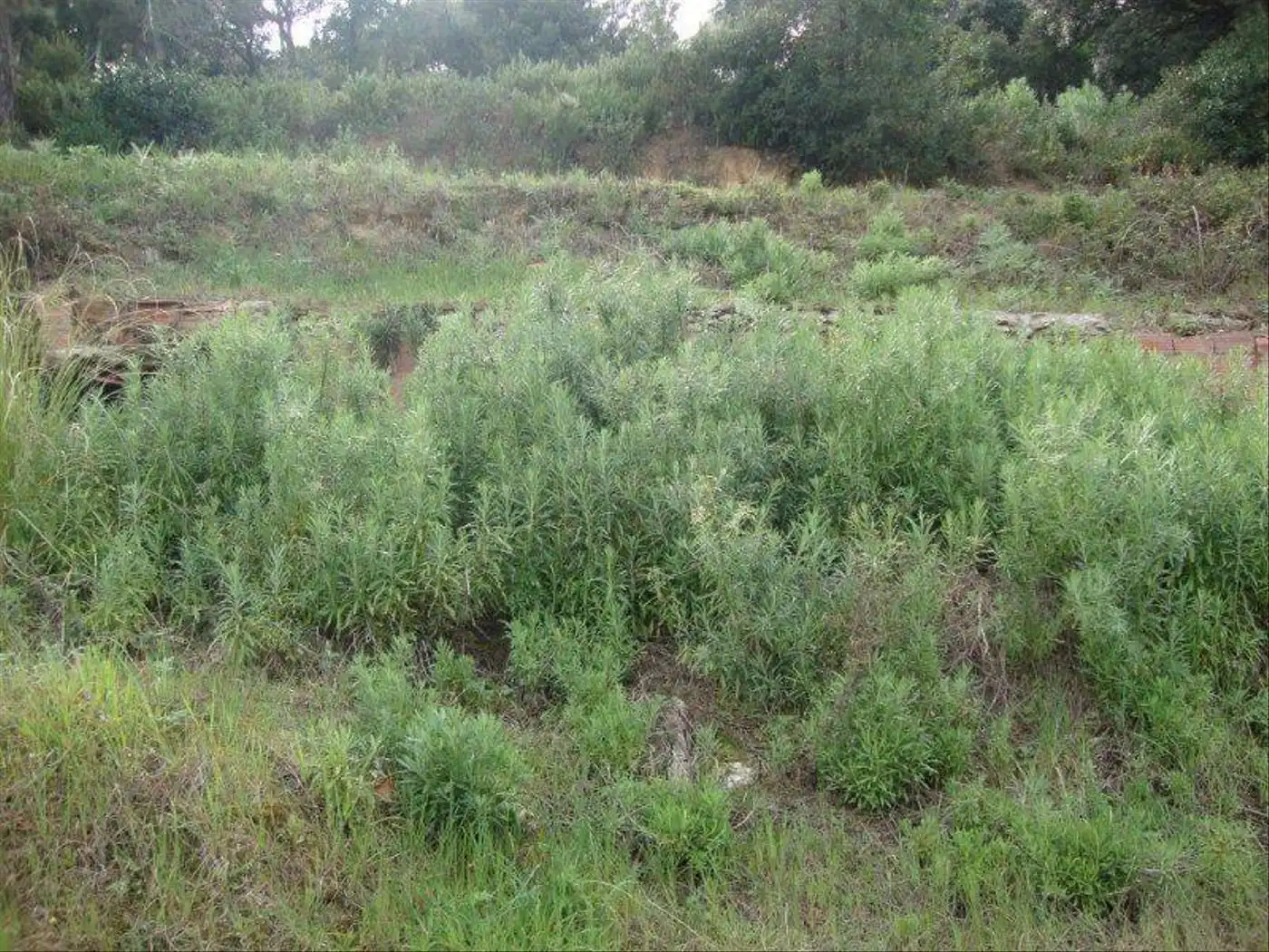 Residencial en venda en Sant Cebrià de Vallalta