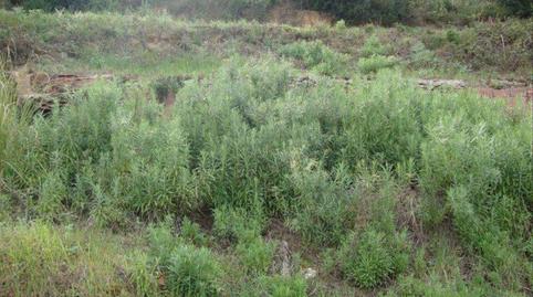 Foto 3 de Residencial en venda a Calle Centre, 137, Sant Cebrià de Vallalta, Barcelona