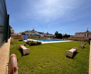 Swimming pool of Single-family semi-detached to rent in Torrevieja  with Air Conditioner, Private garden and Terrace