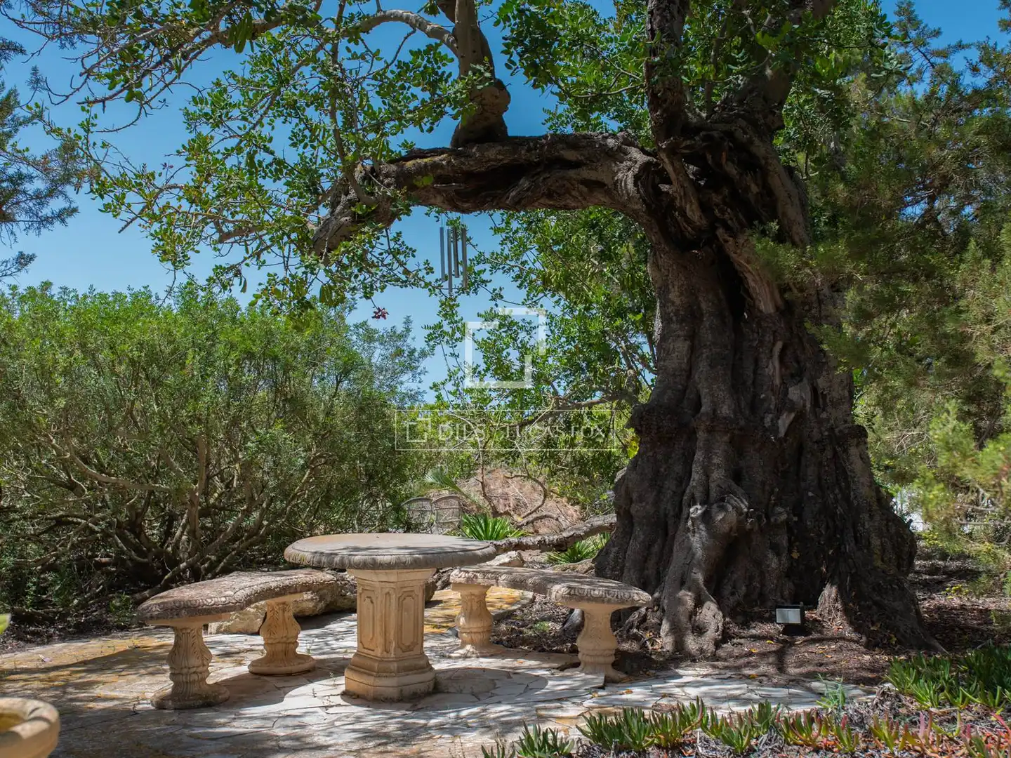 Casa rústica amb jardí en venda a Sant Agustí-Cala de Bou, imagen 49