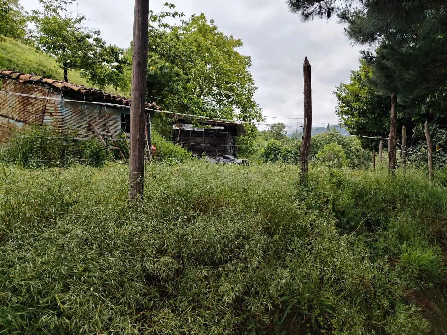 Residential for sale in Lena