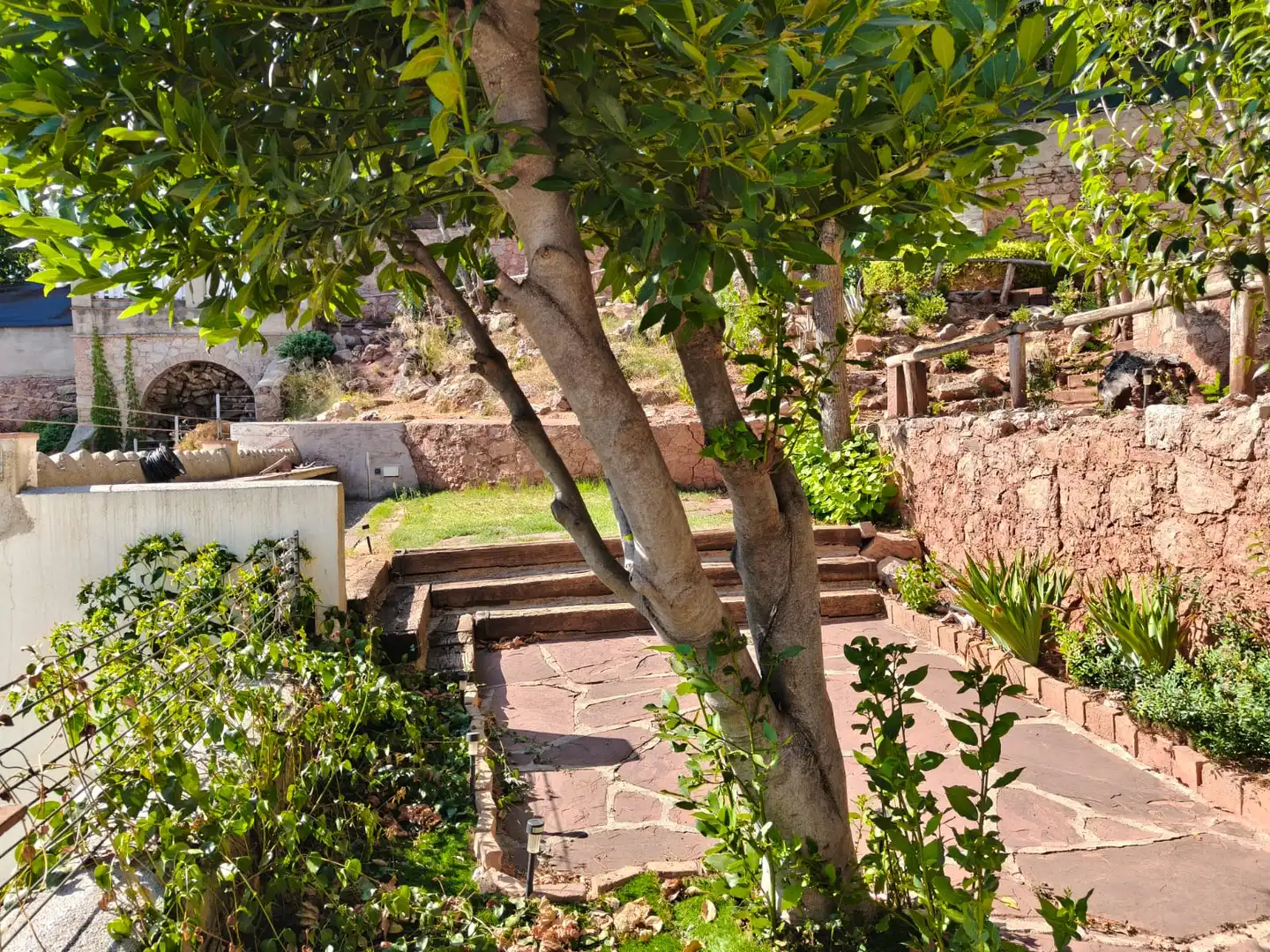 Jardín de Casa o chalet en venta en Aiguafreda, Barcelona