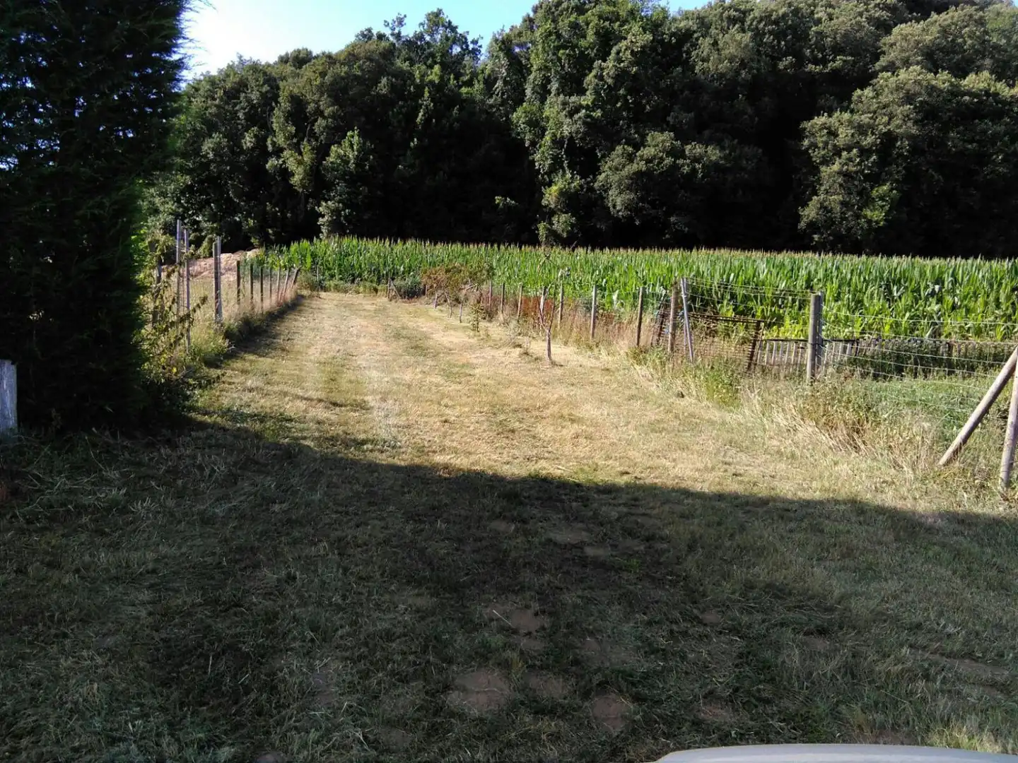 Terreni e lotti in vendita a 6, imagen 3