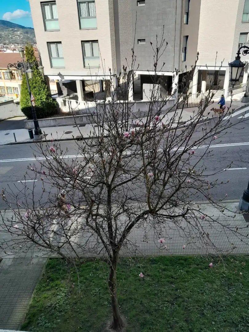 Vista exterior de Pis en venda en Oviedo  amb Calefacció, Parquet i Moblat