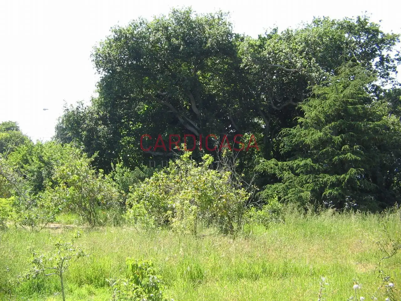 Wohnbaugrundstück zum Verkauf in Baixada a praia, imagen 7