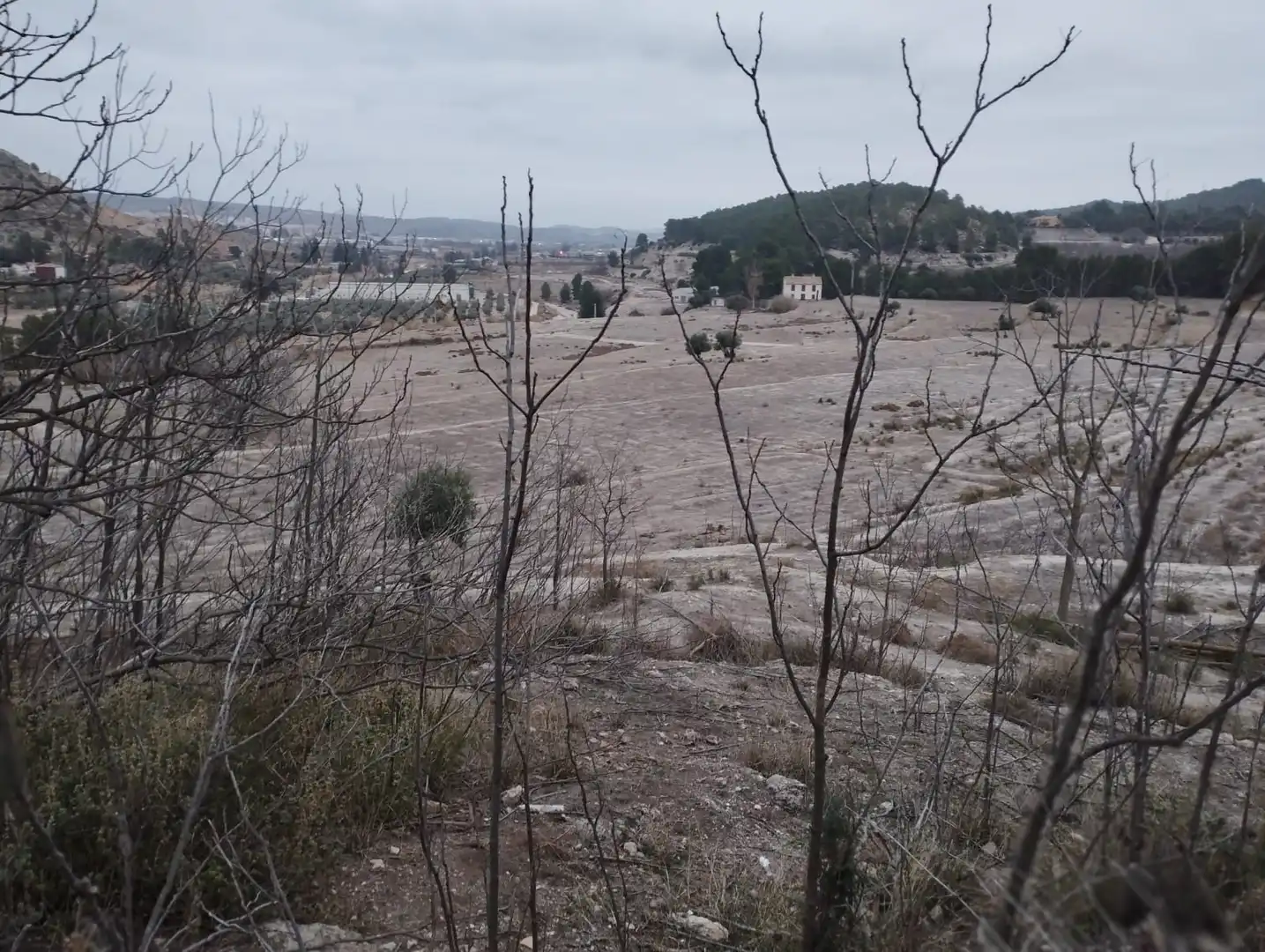 Residential land for sale in Partida Rincón De Egea - Hoya Redonda, imagen 8