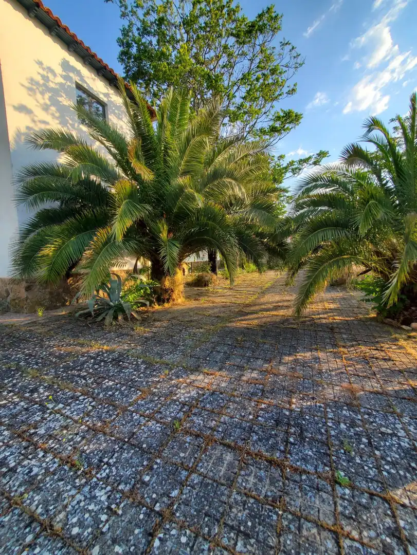 Vista exterior de Casa o chalet en venta en Malagón con Terraza