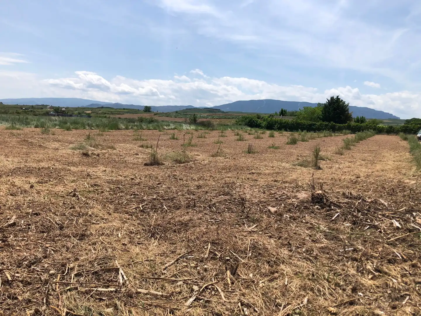 Terreny rústic en venda a Murillo de Río Leza, imagen 14