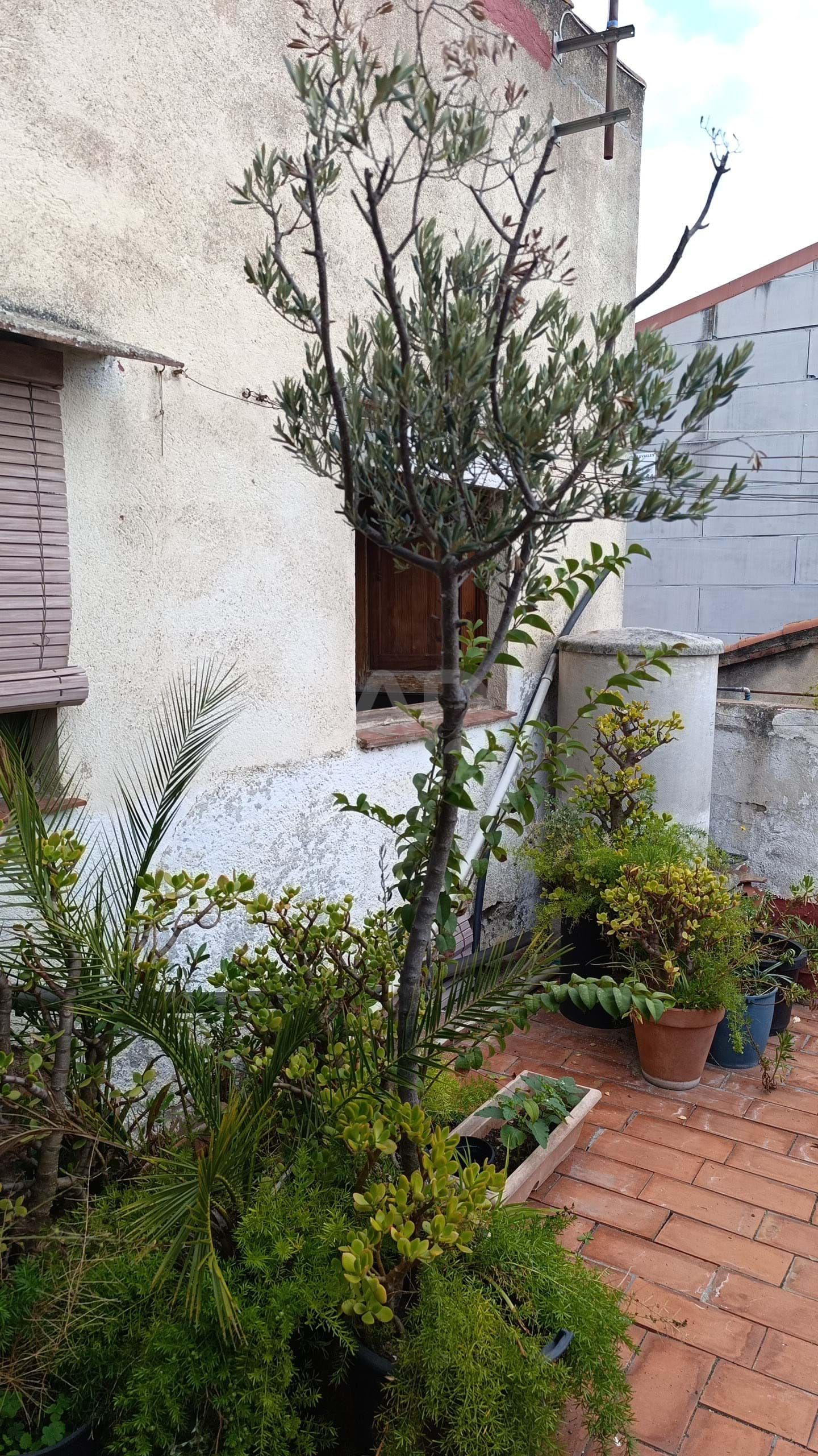 Garden of House or chalet for sale in Sant Cugat del Vallès  with Terrace