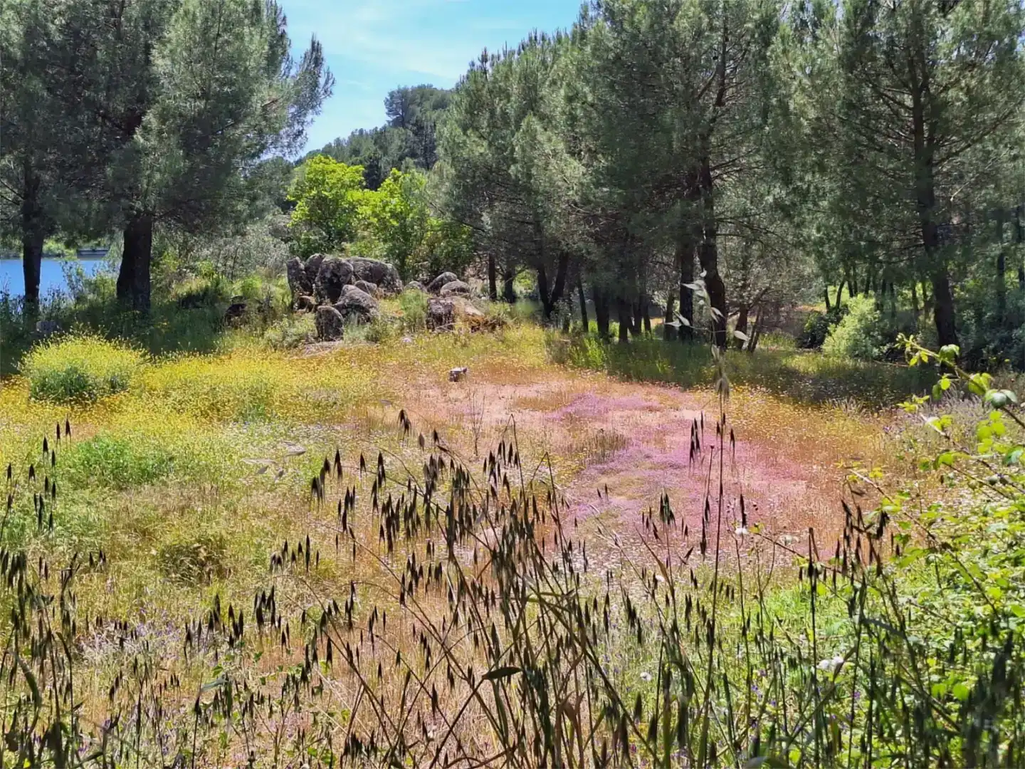 Pis de lloguer en Córdoba amb Aire condicionat, Jardí privat i Traster