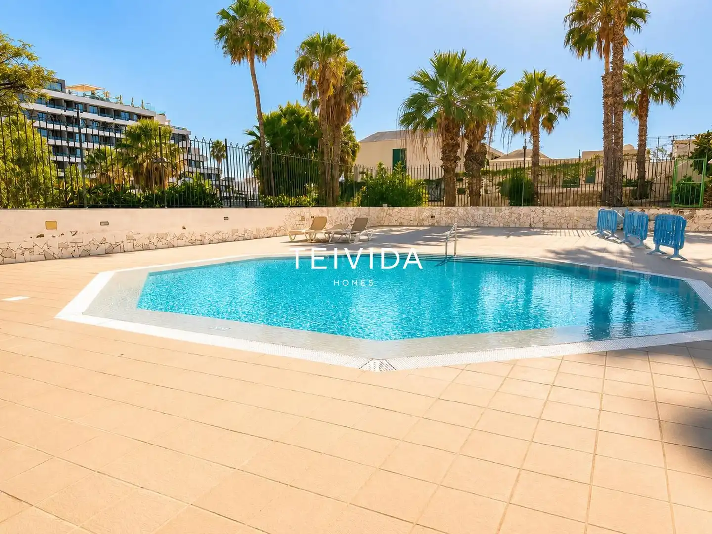 Swimming pool of Flat for rent in Arona  with Swimming Pool, Furnished and Community pool