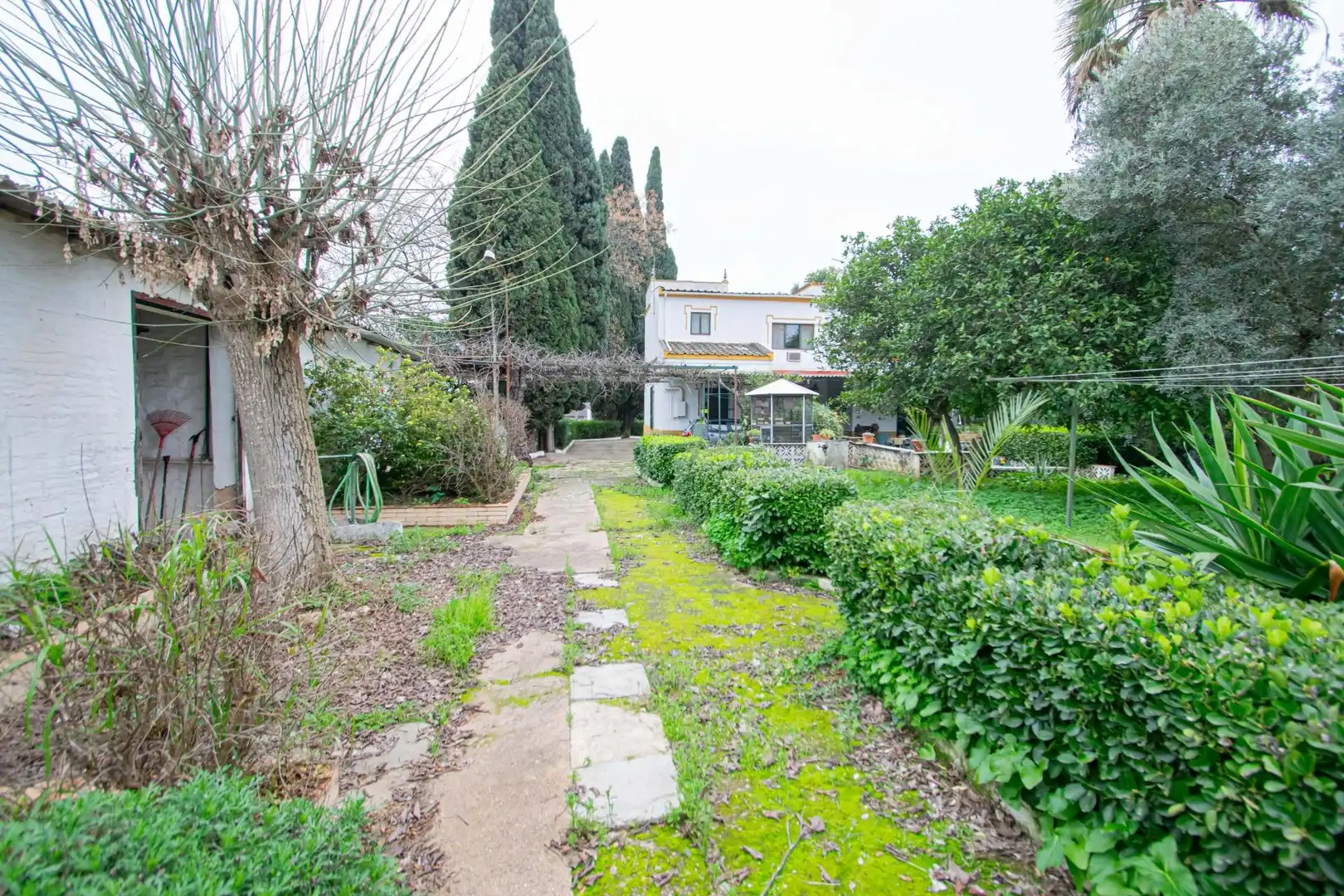 Jardín de Casa o chalet en venta en Espartinas con Jardín privado, Terraza y Trastero