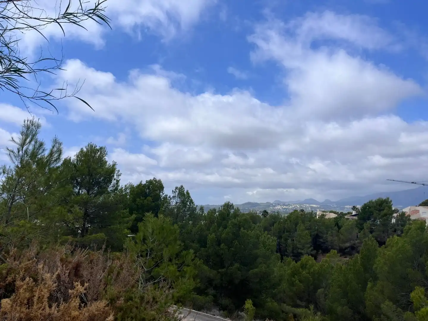 Terrenys i solars en venda a Callosa d'en Sarrià, imagen 6