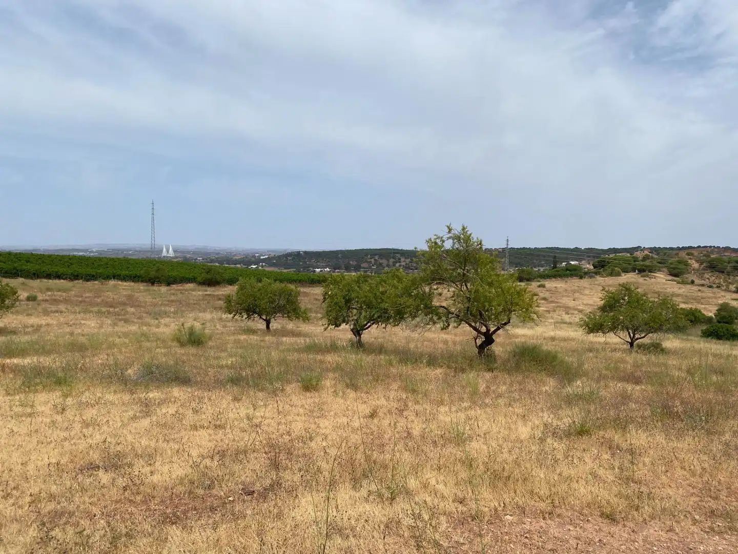 Terreni e lotti in vendita a Vía POLIGONO 15, PARCELA 83, VALDECERRO, imagen 5