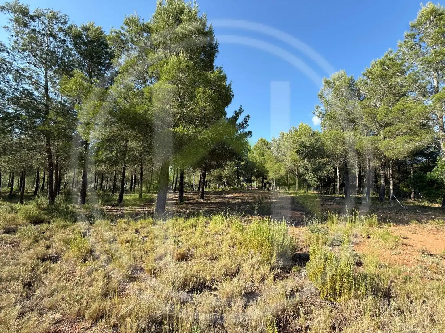 House with garden for sale in d'El Perelló, imagen 51