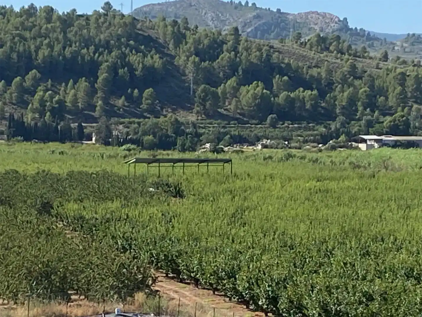 Terreno industrial en venta en Caravaca de la Cruz