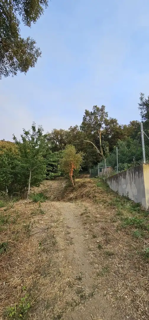 Terreno rústico en venta en Calle XAMPINYO, imagen 2