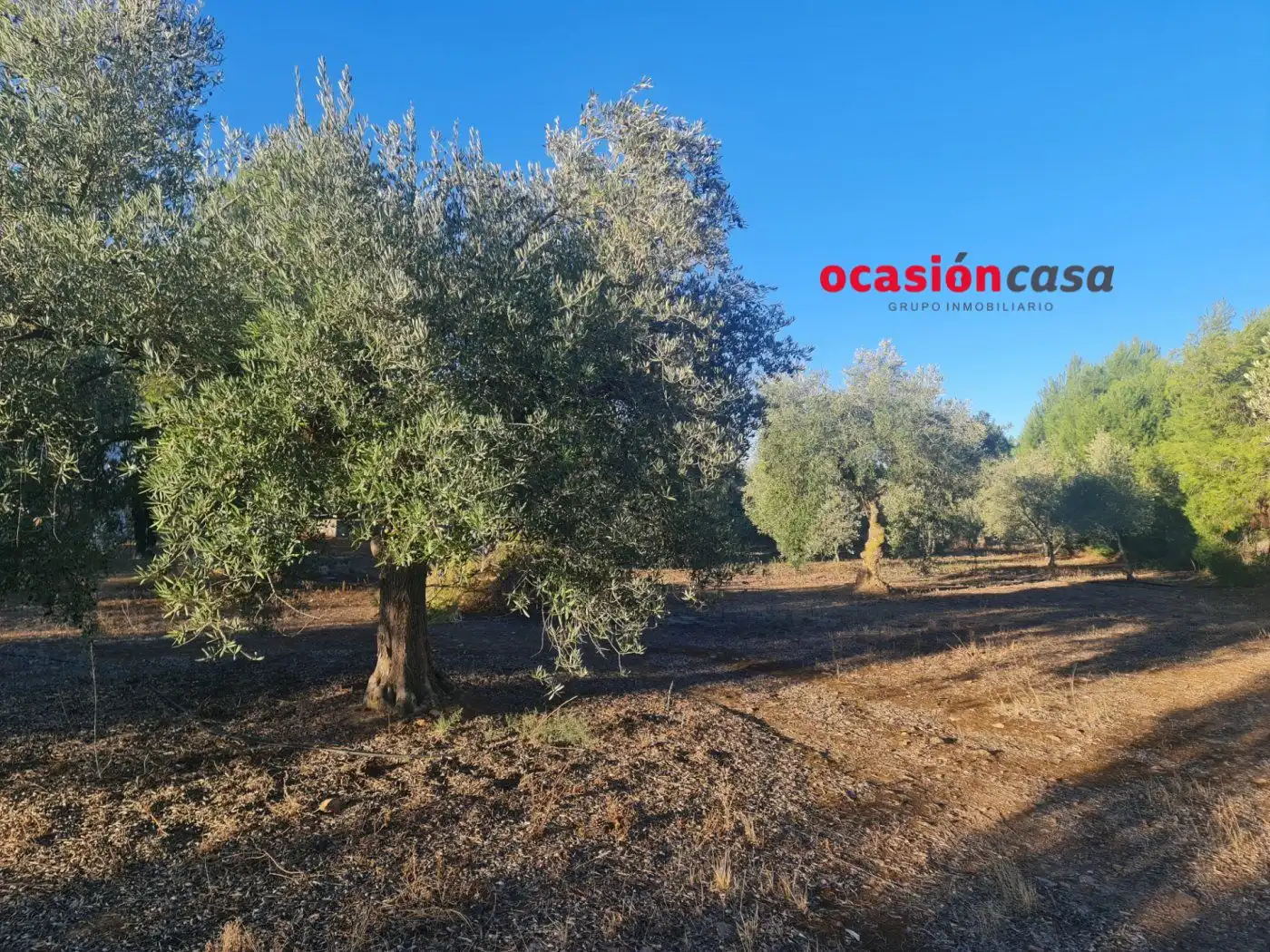 Wohnbaugrundstück zum Verkauf in La Granjuela, imagen 5