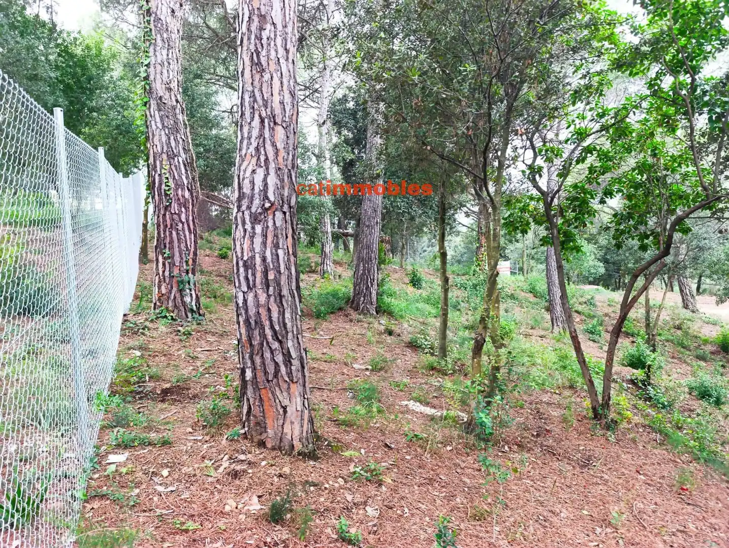 Terreny residencial en venda a Rosa Mariné, imagen 25
