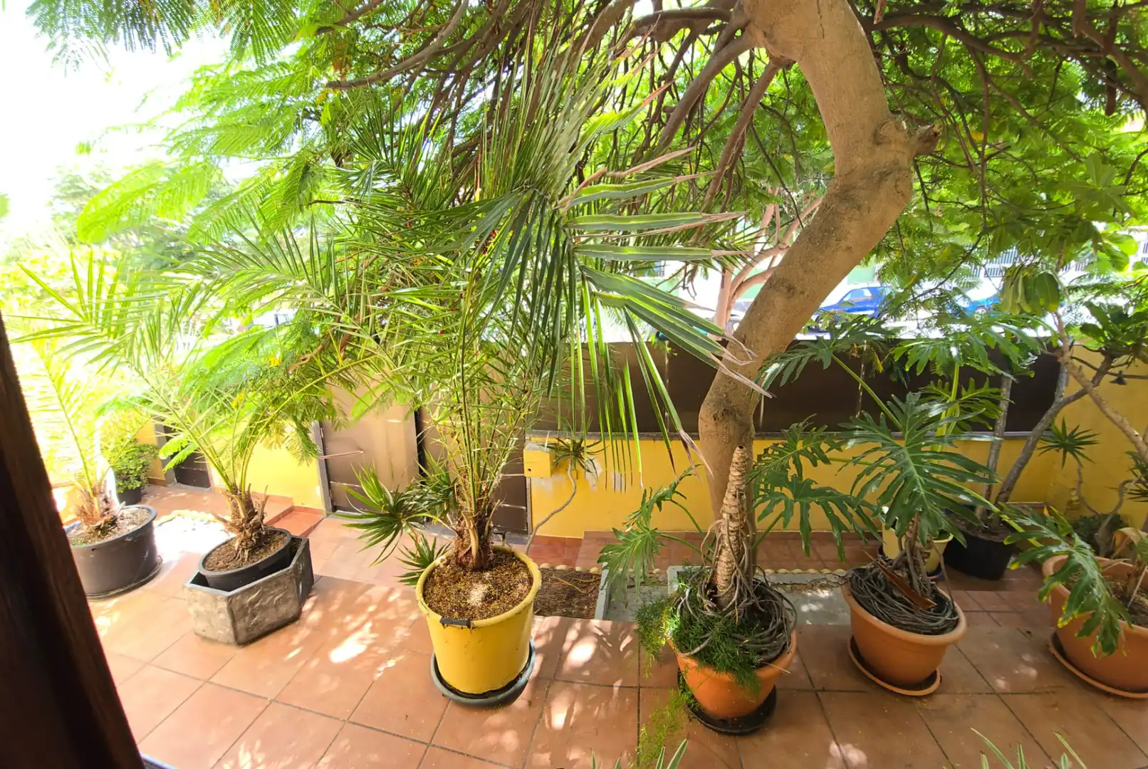 Villa mit Garten zum Verkauf in Calle Teniente C Castillo Olivares, imagen 58