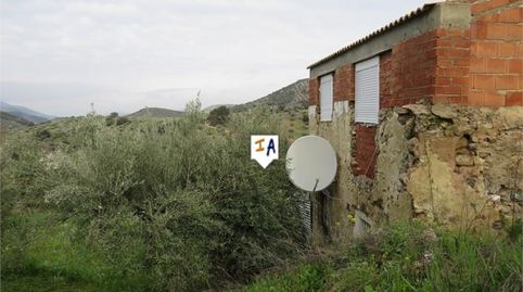 Imatge 2 de l'anunci