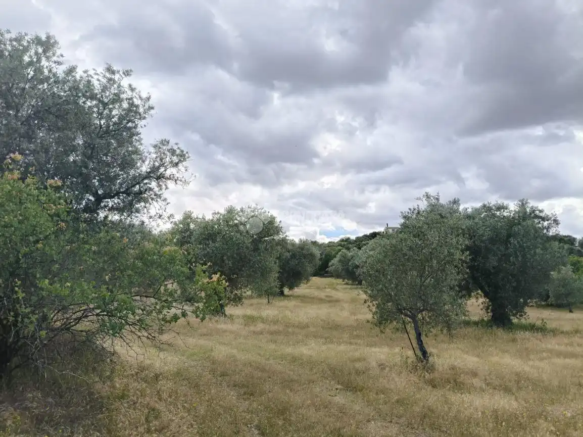 Finca rústica en venda en San Martín de Pusa amb Moblat i Balcó
