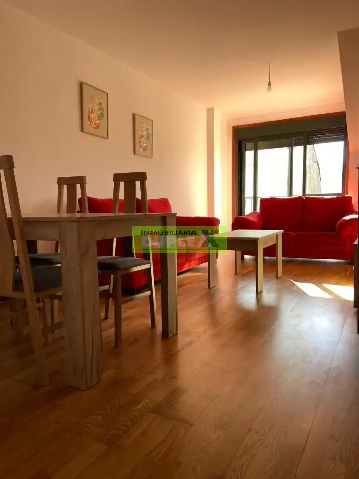 Sala d'estar de Àtic en venda en Pontevedra Capital  amb Calefacció