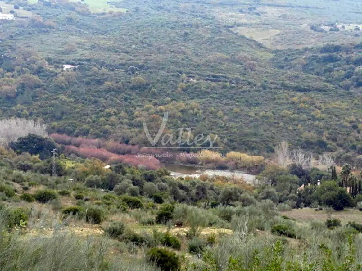 Terreni e lotti in vendita a None, imagen 11