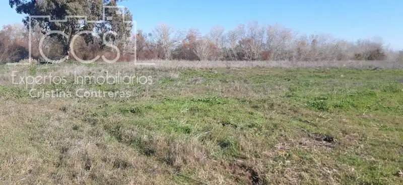 Terreni e lotti in vendita a Almonte ciudad, imagen 4