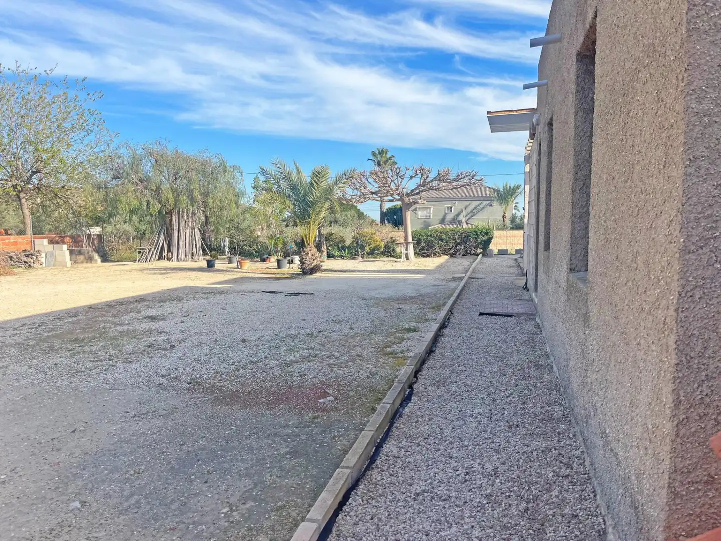 Vista exterior de Finca rústica en venta en Elche / Elx con Terraza